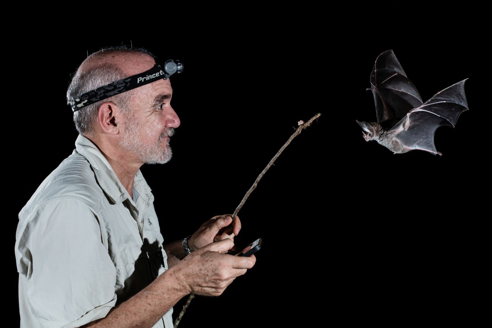 National Bat Conference