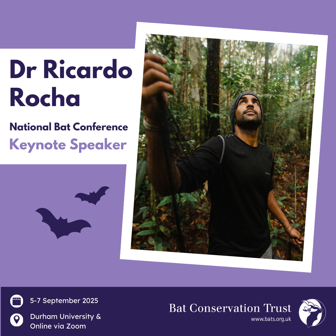 National Bat Conference