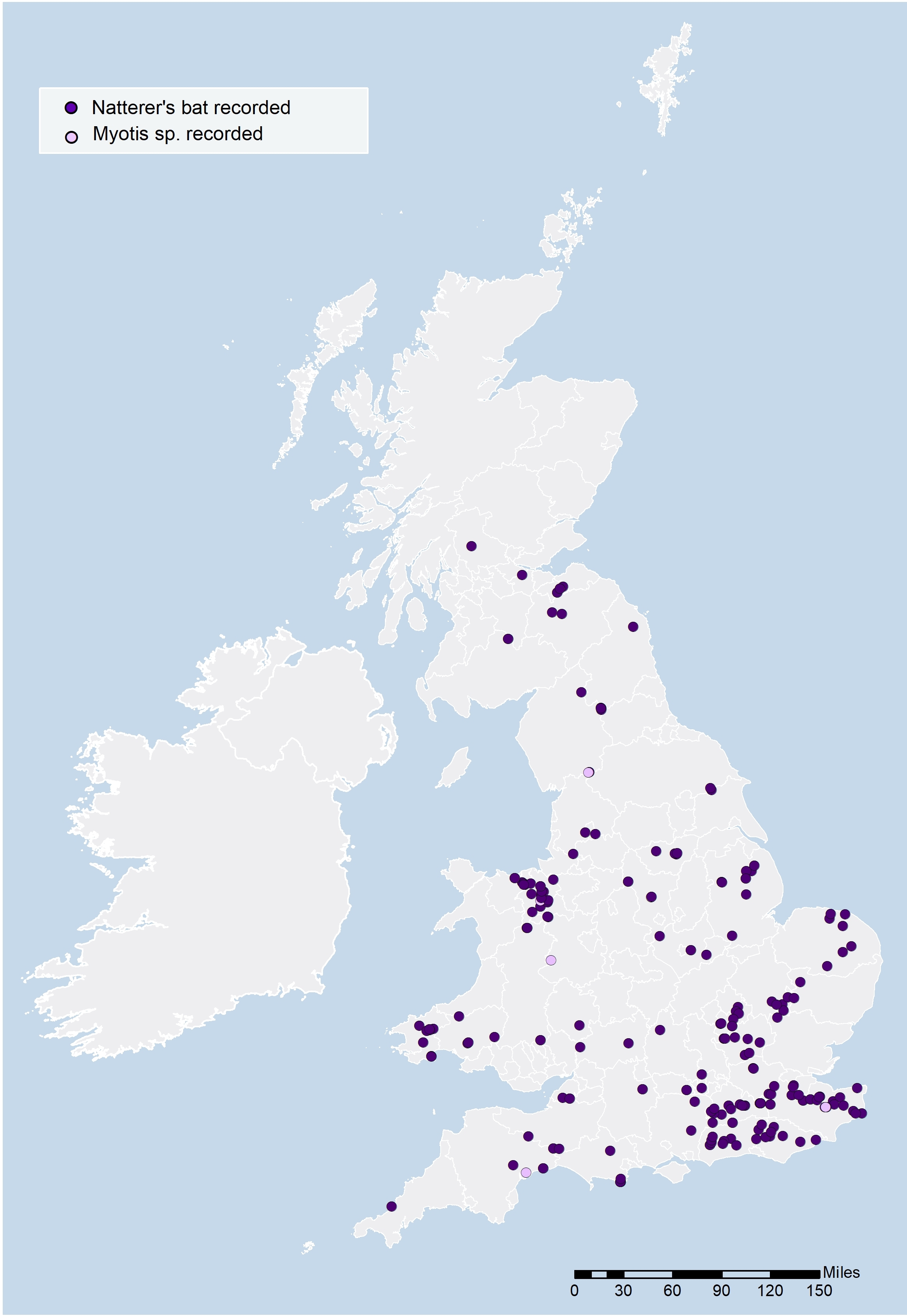 Hibernation Survey