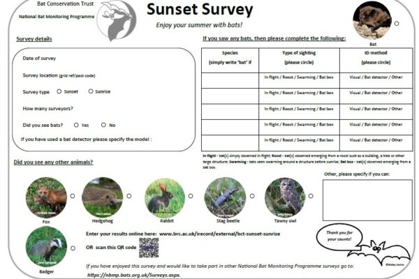 Sunset Survey Explore NBMP Surveys Bat Conservation Trust