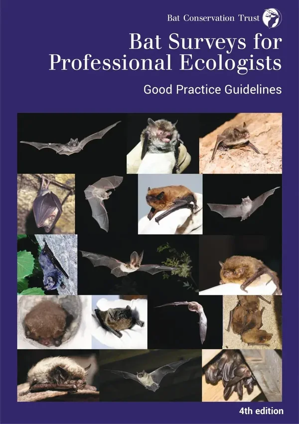 News Bat Conservation Trust